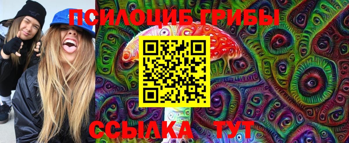 Заводоуковск  Псилоцибиновые грибы Cubensis  Вход с VPN  где можно купить   Галлюциногенные грибы прущие грибы 