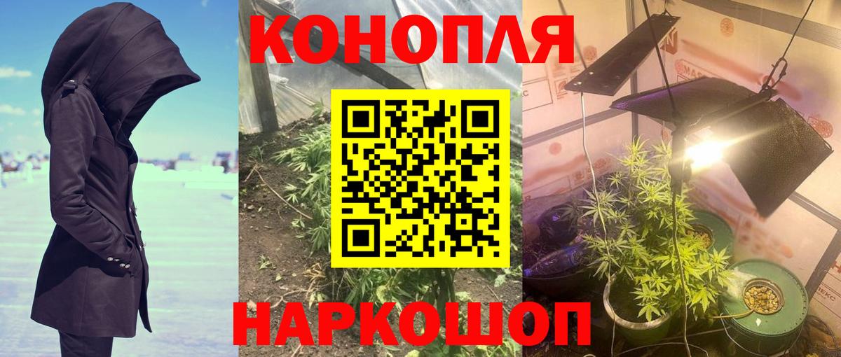 Конопля Amnesia  Вход с VPN  Марихуана Amnesia  Заводоуковск  Марихуана ГИДРОПОН 